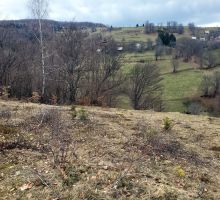 Terenul 3 de vânzare | Domeniul din Apuseni
