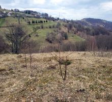 Terenul 3 de vânzare | Domeniul din Apuseni
