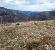 Terenul 3 de vânzare | Domeniul din Apuseni
