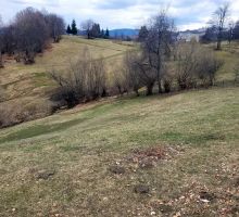 Terenul 3 de vânzare | Domeniul din Apuseni