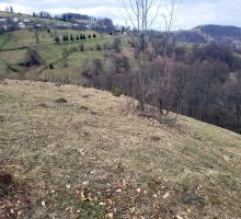 Terenul 3 de vânzare | Domeniul din Apuseni