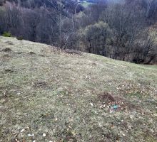 Terenul 3 de vânzare | Domeniul din Apuseni