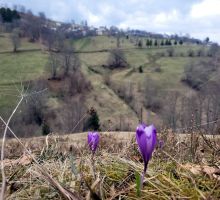 Terenul 3 de vânzare | Domeniul din Apuseni