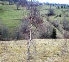 Terenul 3 de vânzare | Domeniul din Apuseni