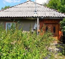 PP4 – Proprietatea 4 | Domeniul din Apuseni