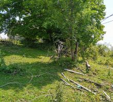 PP4 – Proprietatea 4 | Domeniul din Apuseni