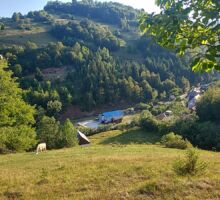 Casa 43 de vânzare | Domeniul din Apuseni
