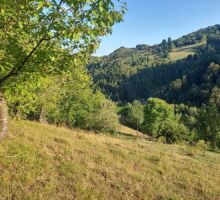 Casa 43 de vânzare | Domeniul din Apuseni