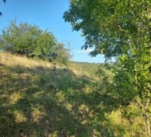 Casa 43 de vânzare | Domeniul din Apuseni