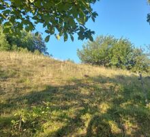 Casa 43 de vânzare | Domeniul din Apuseni