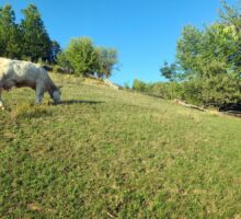 Casa 43 de vânzare | Domeniul din Apuseni