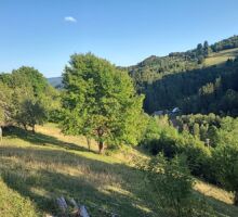 Casa 43 de vânzare | Domeniul din Apuseni