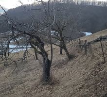 Casa 37 de vânzare | Domeniul din Apuseni