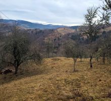 Terenul 5 de vânzare | Domeniul din Apuseni