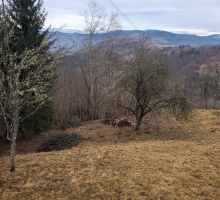 Terenul 5 de vânzare | Domeniul din Apuseni