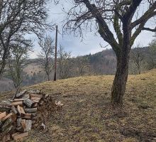 Terenul 5 de vânzare | Domeniul din Apuseni