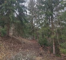 Terenul 5 de vânzare | Domeniul din Apuseni