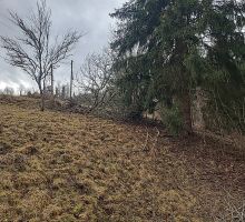 Terenul 5 de vânzare | Domeniul din Apuseni