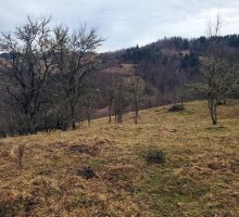 Terenul 5 de vânzare | Domeniul din Apuseni