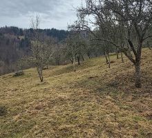 Terenul 5 de vânzare | Domeniul din Apuseni