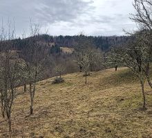 Terenul 5 de vânzare | Domeniul din Apuseni