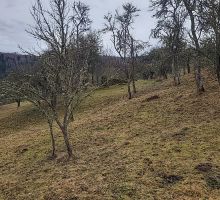 Terenul 5 de vânzare | Domeniul din Apuseni