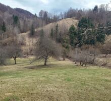 Terenul 6 de vânzare | Domeniul din Apuseni
