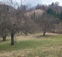 Terenul 6 de vânzare | Domeniul din Apuseni