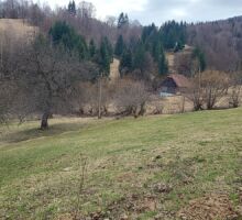 Terenul 6 de vânzare | Domeniul din Apuseni