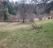 Terenul 6 de vânzare | Domeniul din Apuseni