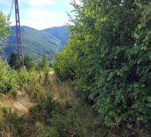 Terenul 7 de vânzare | Domeniul din Apuseni