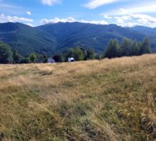 Terenul 7 de vânzare | Domeniul din Apuseni