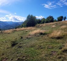 Terenul 7 de vânzare | Domeniul din Apuseni