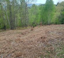 Terenul 8 de vânzare | Domeniul din Apuseni