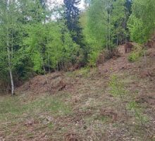 Terenul 8 de vânzare | Domeniul din Apuseni