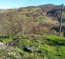 Casa 13 de vânzare | Domeniul din Apuseni