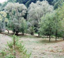 Casa 13 de vânzare | Domeniul din Apuseni