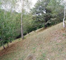 Casa 13 de vânzare | Domeniul din Apuseni